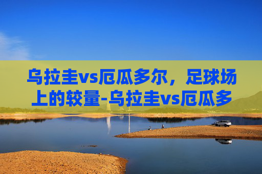 乌拉圭vs厄瓜多尔，足球场上的较量-乌拉圭vs厄瓜多尔历史战绩