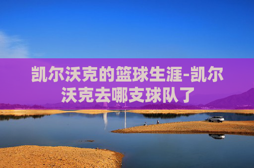 凯尔沃克的篮球生涯-凯尔沃克去哪支球队了