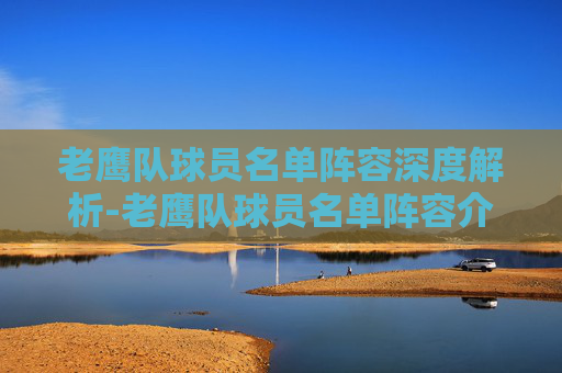 老鹰队球员名单阵容深度解析-老鹰队球员名单阵容介绍