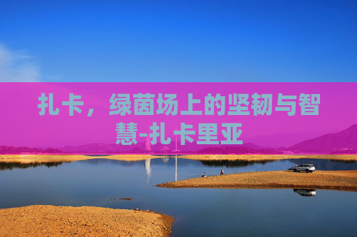 扎卡，绿茵场上的坚韧与智慧-扎卡里亚