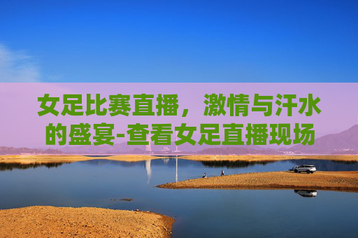 女足比赛直播，激情与汗水的盛宴-查看女足直播现场