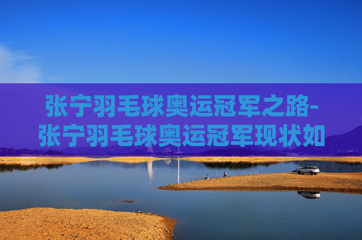 张宁羽毛球奥运冠军之路-张宁羽毛球奥运冠军现状如何