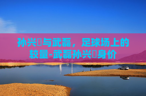 孙兴慜与武磊，足球场上的较量-武磊孙兴慜身价