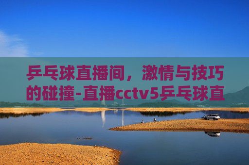 乒乓球直播间，激情与技巧的碰撞-直播cctv5乒乓球直播间