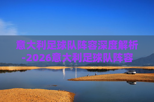 意大利足球队阵容深度解析-2026意大利足球队阵容