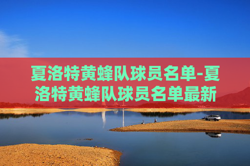 夏洛特黄蜂队球员名单-夏洛特黄蜂队球员名单最新