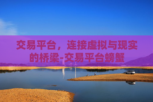 交易平台，连接虚拟与现实的桥梁-交易平台螃蟹