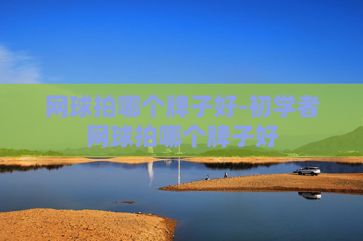 网球拍哪个牌子好-初学者网球拍哪个牌子好