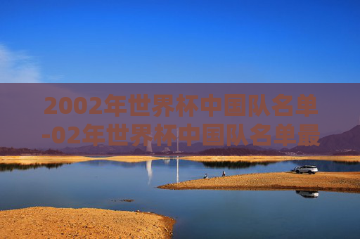 2002年世界杯中国队名单-02年世界杯中国队名单最新