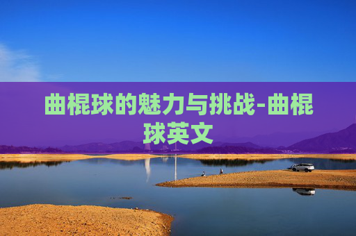 曲棍球的魅力与挑战-曲棍球英文