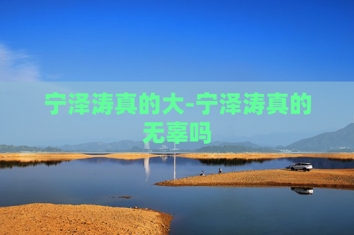 宁泽涛真的大-宁泽涛真的无辜吗