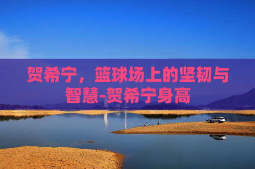 贺希宁，篮球场上的坚韧与智慧-贺希宁身高