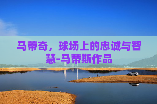 马蒂奇，球场上的忠诚与智慧-马蒂斯作品