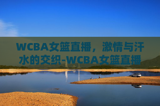 WCBA女篮直播，激情与汗水的交织-WCBA女篮直播哪里看