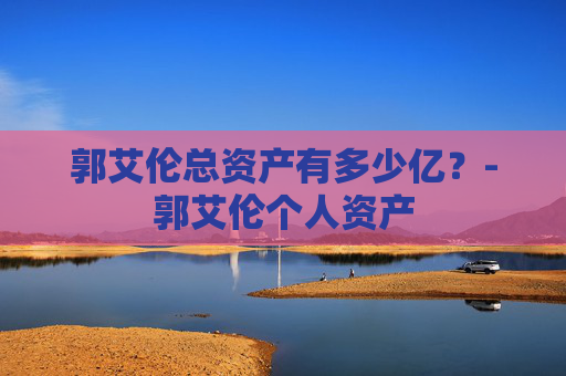 郭艾伦总资产有多少亿？-郭艾伦个人资产