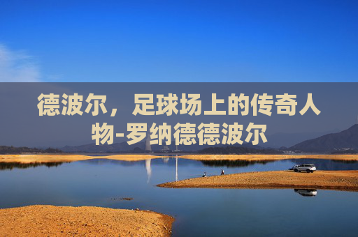 德波尔，足球场上的传奇人物-罗纳德德波尔