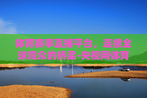 体育赛事直播平台，连接全球观众的桥梁-央视网体育赛事直播平台