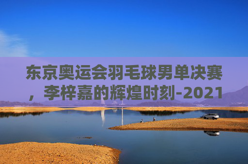 东京奥运会羽毛球男单决赛，李梓嘉的辉煌时刻-2021年东京奥运会羽毛球男单决赛