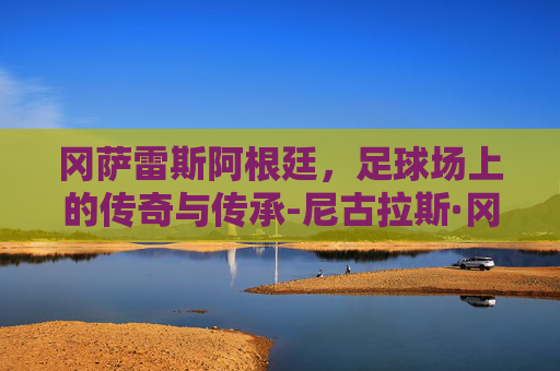 冈萨雷斯阿根廷，足球场上的传奇与传承-尼古拉斯·冈萨雷斯阿根廷