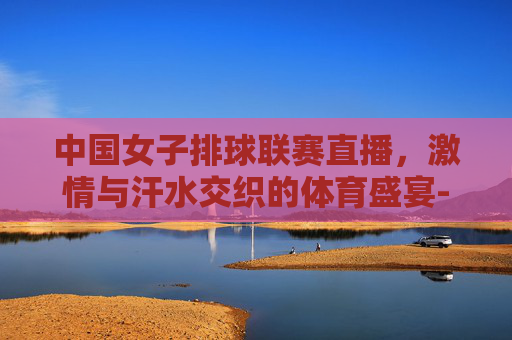 中国女子排球联赛直播，激情与汗水交织的体育盛宴-中国女子排球联赛直播在哪看