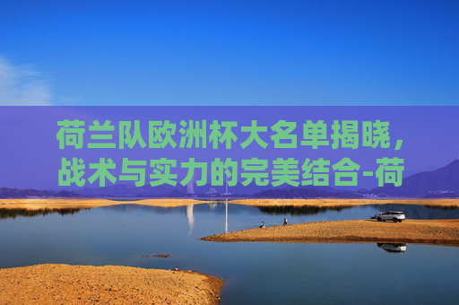 荷兰队欧洲杯大名单揭晓，战术与实力的完美结合-荷兰队欧洲杯主力阵容