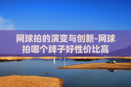 网球拍的演变与创新-网球拍哪个牌子好性价比高