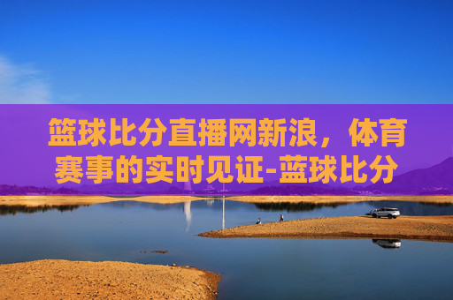 篮球比分直播网新浪，体育赛事的实时见证-蓝球比分