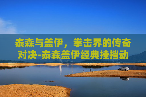 泰森与盖伊，拳击界的传奇对决-泰森盖伊经典挂挡动作