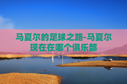 马夏尔的足球之路-马夏尔现在在哪个俱乐部