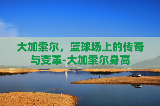 大加索尔，篮球场上的传奇与变革-大加索尔身高