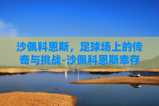 沙佩科恩斯，足球场上的传奇与挑战-沙佩科恩斯幸存球员