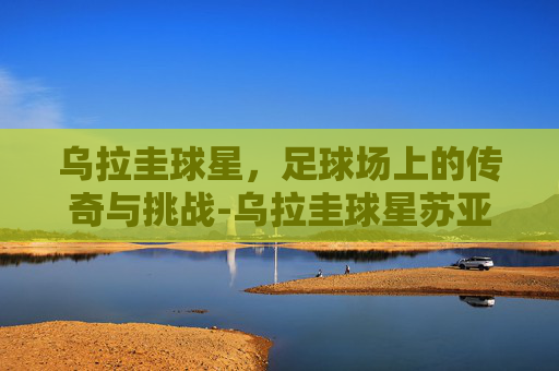 乌拉圭球星，足球场上的传奇与挑战-乌拉圭球星苏亚雷斯