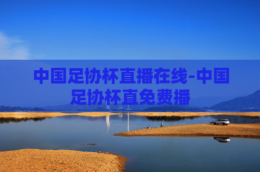 中国足协杯直播在线-中国足协杯直免费播
