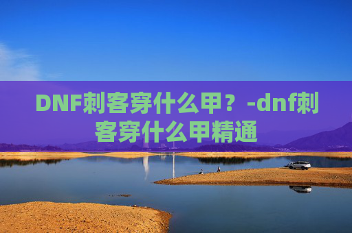 DNF刺客穿什么甲？-dnf刺客穿什么甲精通
