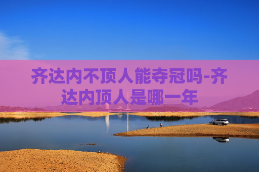 齐达内不顶人能夺冠吗-齐达内顶人是哪一年