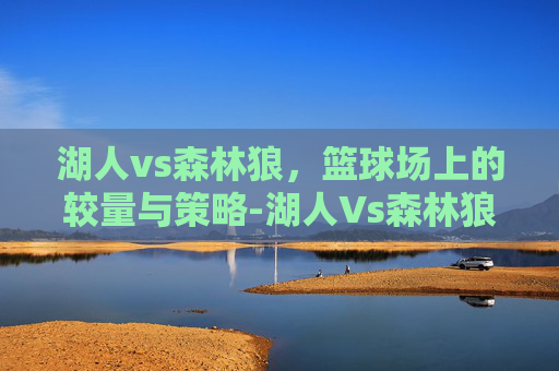 湖人vs森林狼，篮球场上的较量与策略-湖人Vs森林狼今日回放