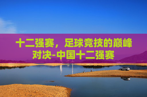 十二强赛，足球竞技的巅峰对决-中国十二强赛