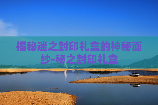 揭秘迷之封印礼盒的神秘面纱-秘之封印礼盒