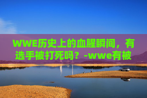 WWE历史上的血腥瞬间，有选手被打死吗？-wwe有被打死的吗知乎