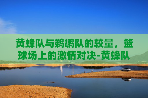 黄蜂队与鹈鹕队的较量，篮球场上的激情对决-黄蜂队和鹈鹕队是一个队吗