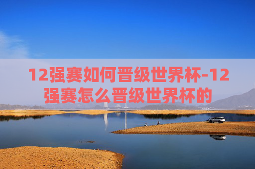 12强赛如何晋级世界杯-12强赛怎么晋级世界杯的