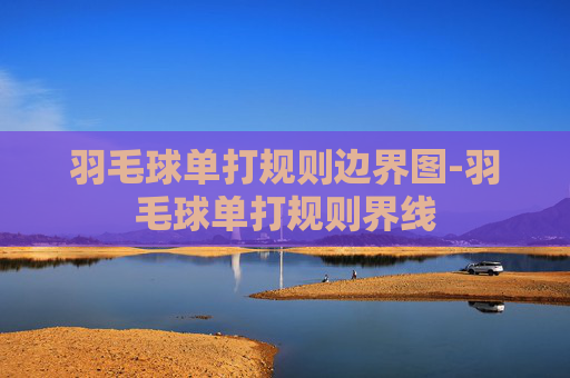 羽毛球单打规则边界图-羽毛球单打规则界线