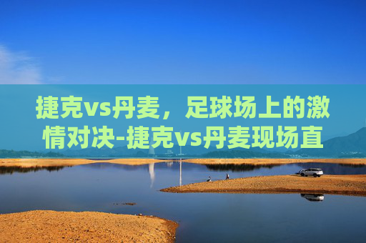 捷克vs丹麦，足球场上的激情对决-捷克vs丹麦现场直播