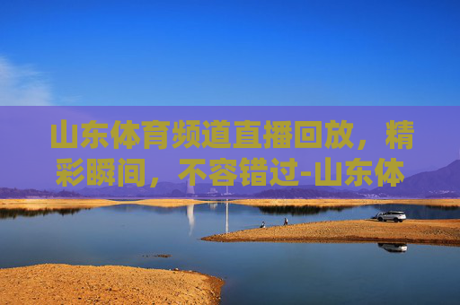 山东体育频道直播回放，精彩瞬间，不容错过-山东体育频道直播回放在哪看