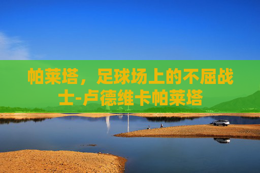帕莱塔，足球场上的不屈战士-卢德维卡帕莱塔