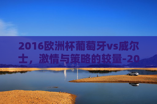 2016欧洲杯葡萄牙vs威尔士，激情与策略的较量-2016欧洲杯葡萄牙vs威尔士回放