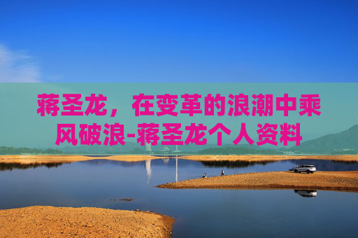 蒋圣龙，在变革的浪潮中乘风破浪-蒋圣龙个人资料