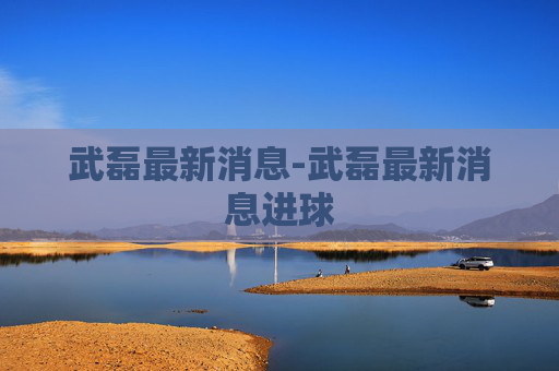 武磊最新消息-武磊最新消息进球