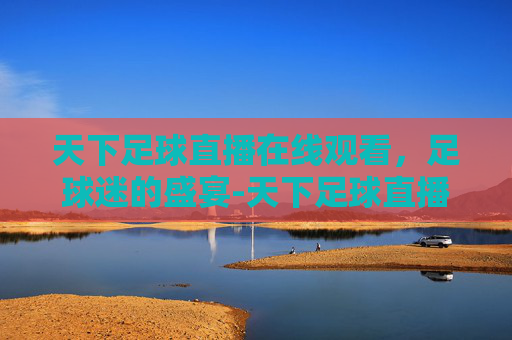 天下足球直播在线观看，足球迷的盛宴-天下足球直播网