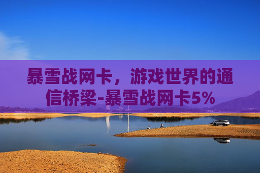暴雪战网卡，游戏世界的通信桥梁-暴雪战网卡5%
